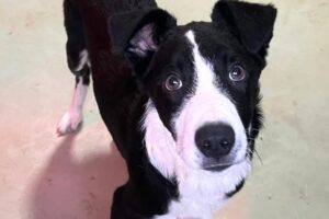 cash IMG_007
