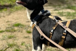 cash IMG_008