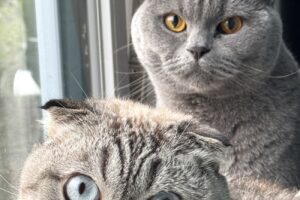 cleo cesar von privat IMG_6731