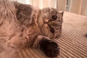 cleo cesar von privat IMG_7065