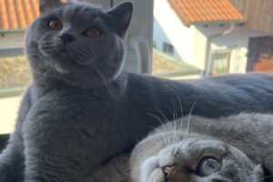 cleo cesar von privat IMG_8445