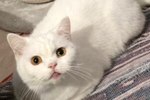 coco IMG_0002