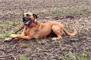 diva IMG_5552 diva IMG_5552
