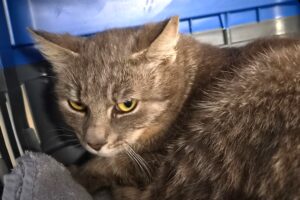 felicitas IMG_0001