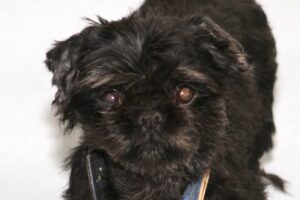 Betty IMG_3505 Betty IMG_3505