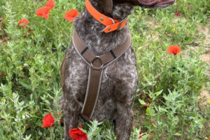 mika IMG_6339