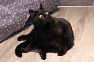 rumba IMG_0001