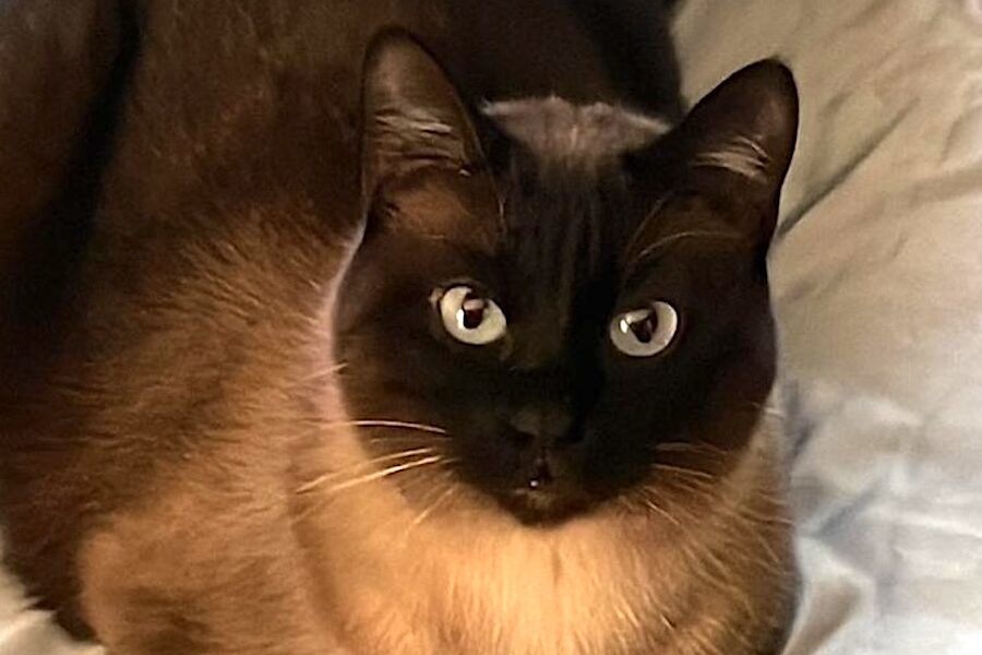 bob IMG_003