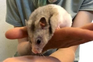 frieda IMG_003