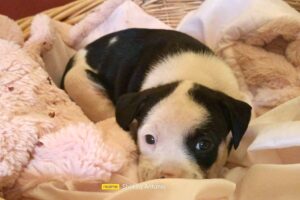 kessi IMG_001