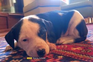 kessi IMG_002