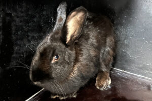 milly IMG_6207