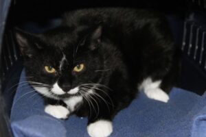 ron 2019 IMG 021-1 ron 2019 IMG 021-1