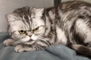 taya IMG_5369we