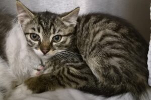 anita IMG_0001