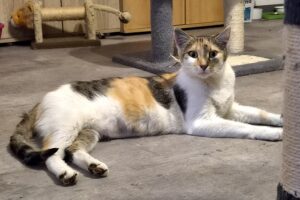 malou IMG_1254 malou IMG_1254