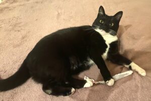 mika von privat 36066 mika von privat 36066