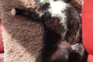 mika von privat 36073 mika von privat 36073