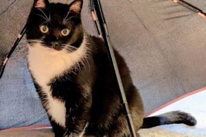 mika von privat 36087 mika von privat 36087