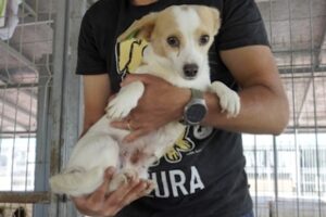 otis IMG_001 otis IMG_001
