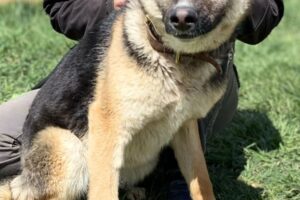 ruby IMG_004 ruby IMG_004