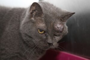 ruth IMG_6267