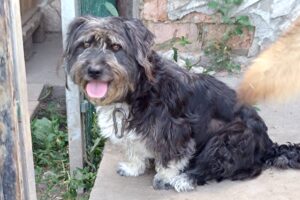 bettie IMG_004 bettie IMG_004