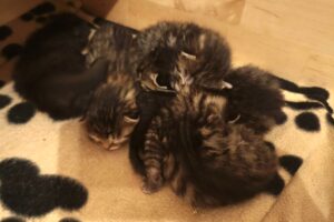 bonnie IMG_4751