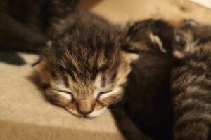 bonnie IMG_4752