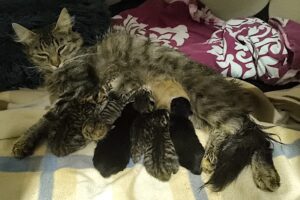 bonnie IMG_4756