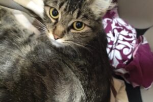 bonnie IMG_4761