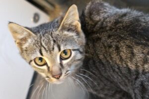 eloise IMG_9018we eloise IMG_9018we