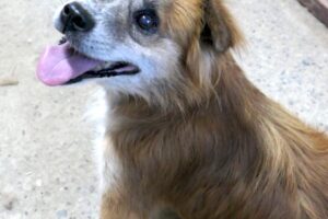 beppi IMG_002 beppi IMG_002