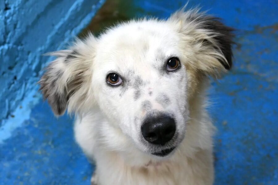 milky IMG_003 milky IMG_003