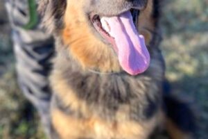 skye skye