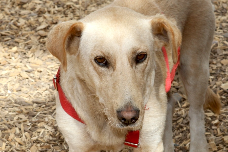 timmy IMG_0316we timmy IMG_0316we
