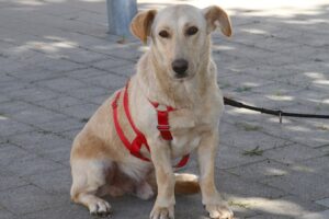 timmy IMG_9934 timmy IMG_9934