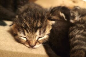 bonnie kinder IMG_4752