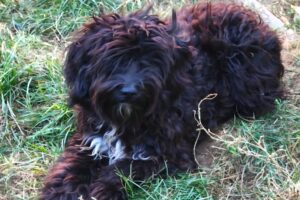 coco IMG_2852 coco IMG_2852