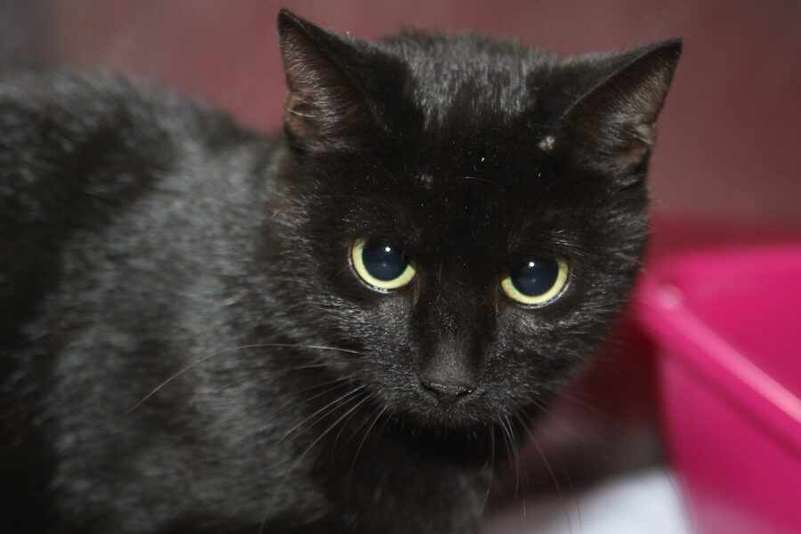 hannah IMG_0165