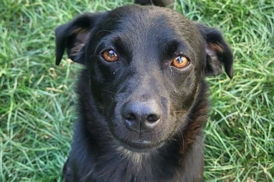 jax IMG_2868