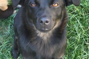 jax IMG_2869