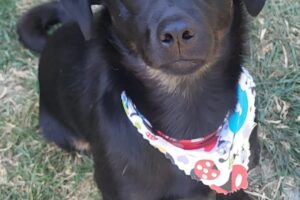 jax IMG_2870