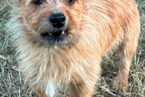 milo IMG_2872