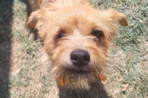 milo IMG_2874