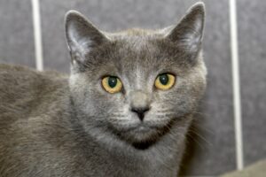 mimi IMG_0108 mimi IMG_0108