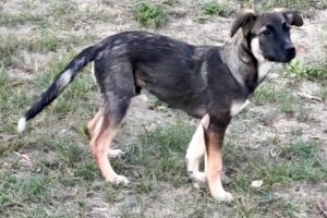 ricco IMG_2846 ricco IMG_2846
