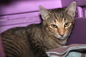 yasmin IMG_9826we